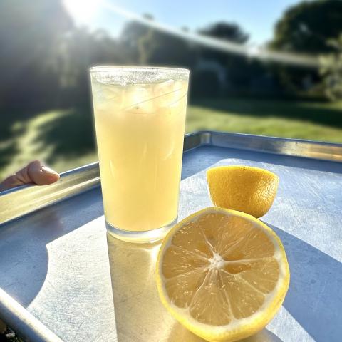 Hywel's Lemonade